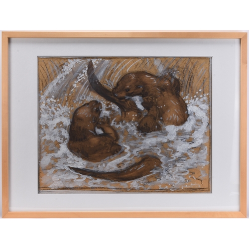 127 - Charles Frederick Tunnicliffe (1901-1979) Swimming Otters, preparatory study, watercolour and charco... 