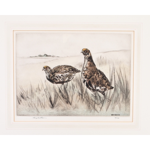 15 - Henry Wilkinson (1921-2011) The Partridge Shoot, signed lower left, numbered 31/150, etching with co... 