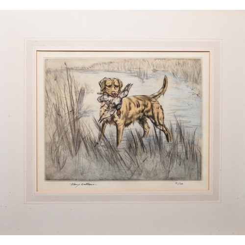 2 - Henry Wilkinson (1921-2011) A Collection of five gun dog etchings, including a yellow labrador with ... 