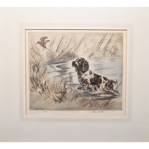 2 - Henry Wilkinson (1921-2011) A Collection of five gun dog etchings, including a yellow labrador with ... 