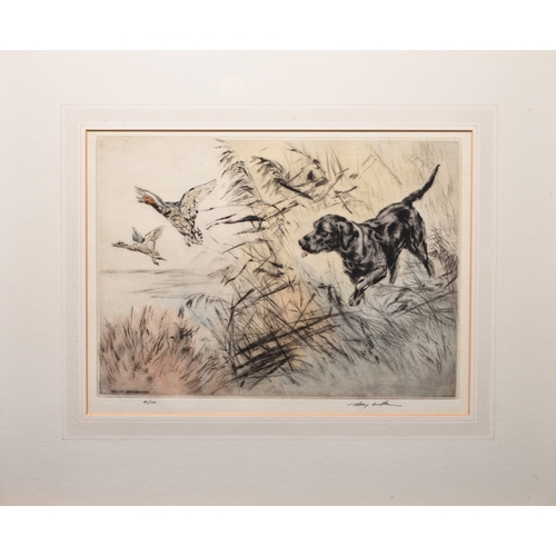 2 - Henry Wilkinson (1921-2011) A Collection of five gun dog etchings, including a yellow labrador with ... 