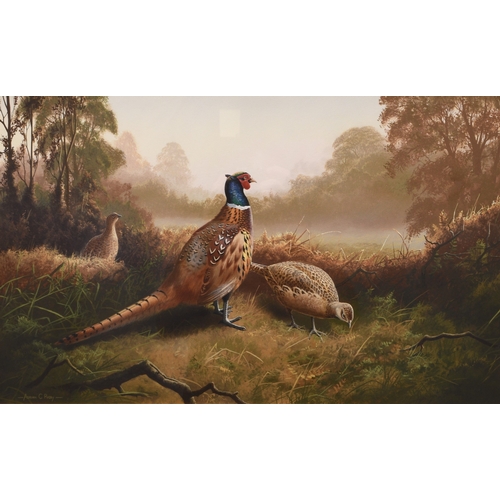 28 - Adrian Rigby (b.1962) Pheasants in the Autumn Mist, signed lower left, gouache, 32 x 52 cm, frame 56... 