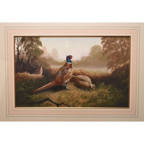 28 - Adrian Rigby (b.1962) Pheasants in the Autumn Mist, signed lower left, gouache, 32 x 52 cm, frame 56... 