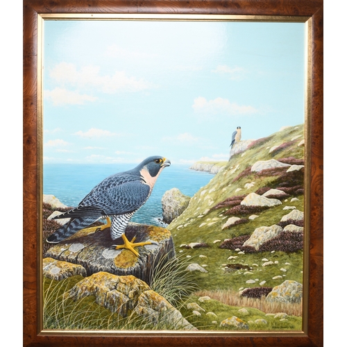 33 - Steven Jaremko (20th Century) A Pair of Peregrine Falcons in a Coastal Landscape, signed and dated 1... 