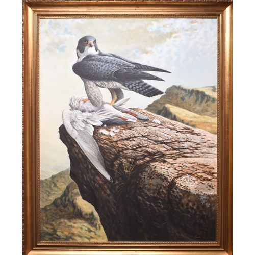 38 - Gareth Parry (b.1951) Peregrine Falcon with Prey, signed and dated 1983 lower right, oil on board, 6... 