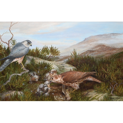 42 - Elizabeth Halstead (20th Century) Moorland Landscape with a Merlin Pair feeding their chicks at the ... 