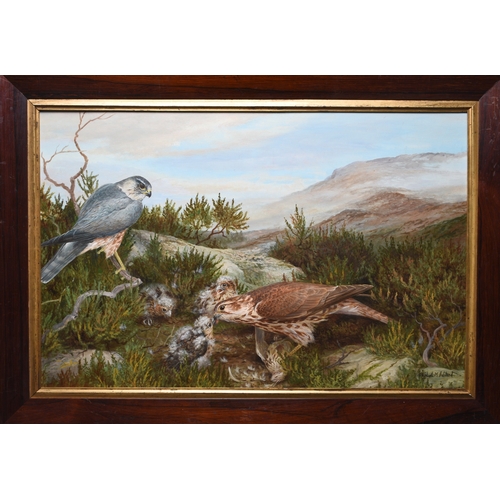 42 - Elizabeth Halstead (20th Century) Moorland Landscape with a Merlin Pair feeding their chicks at the ... 