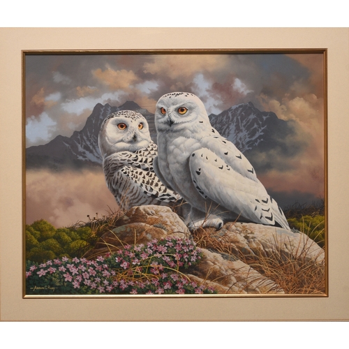 45 - Adrian Rigby (b.1962) Snowy Owls, signed lower left, gouache, 35 x 43 cm Provenance: ex collection o... 