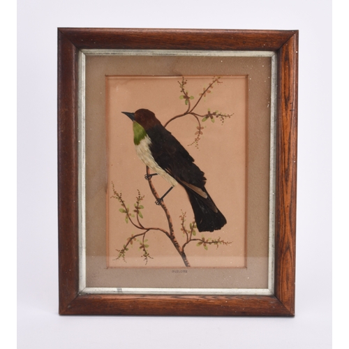 47 - A Pair of 19th Century ornithological collages of birds Utilising feathers applied to watercolour on... 