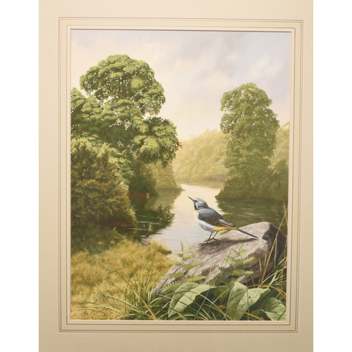 54 - Adrian Rigby (b.1962) Mid Morning on the River, A Grey Wagtail Perched on a rock, signed lower left,... 