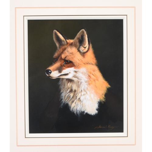 87 - Adrian Rigby (b.1962) Portrait of a Fox, head study, signed lower right, gouache, 31 x 26 cm, frame ... 