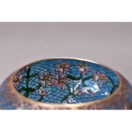 113 - A Chinese plique a jour transparent enamel bowl, 20th century Of compressed ovoid form with three fe... 