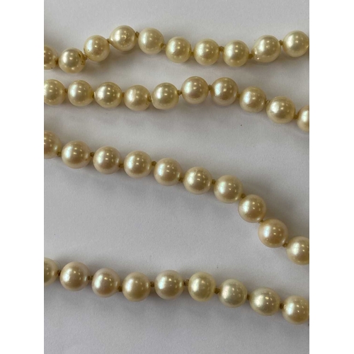 217 - A single strand graduated cultured pearl necklace, with sapphire set clasp, comprising 109 cultured ... 