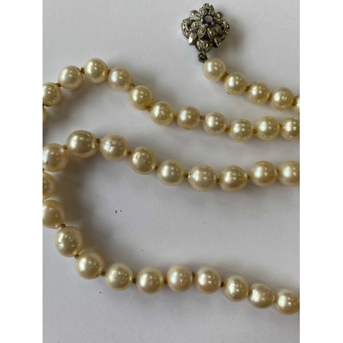 217 - A single strand graduated cultured pearl necklace, with sapphire set clasp, comprising 109 cultured ... 