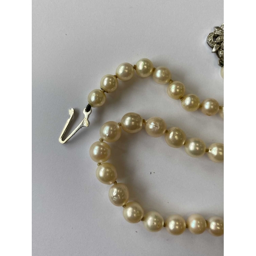 217 - A single strand graduated cultured pearl necklace, with sapphire set clasp, comprising 109 cultured ... 