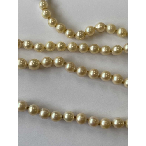 217 - A single strand graduated cultured pearl necklace, with sapphire set clasp, comprising 109 cultured ... 