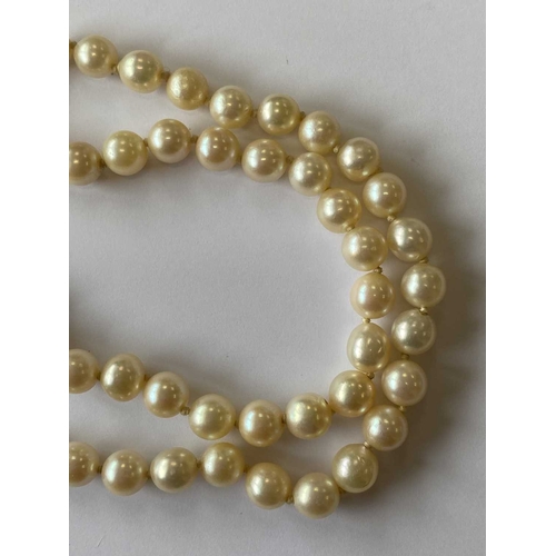 217 - A single strand graduated cultured pearl necklace, with sapphire set clasp, comprising 109 cultured ... 