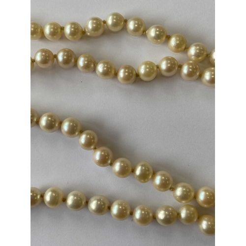 217 - A single strand graduated cultured pearl necklace, with sapphire set clasp, comprising 109 cultured ... 