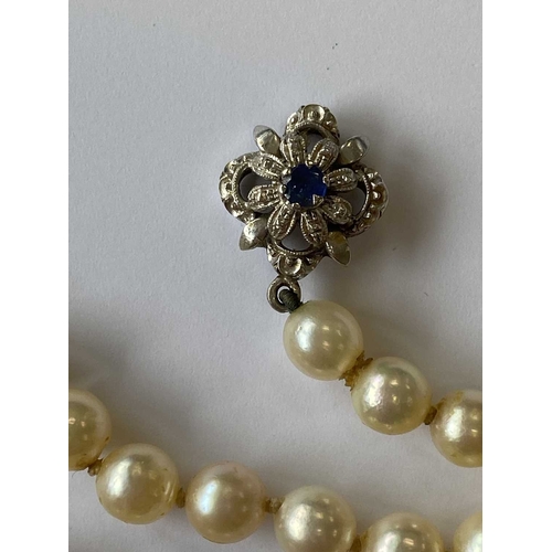 217 - A single strand graduated cultured pearl necklace, with sapphire set clasp, comprising 109 cultured ... 