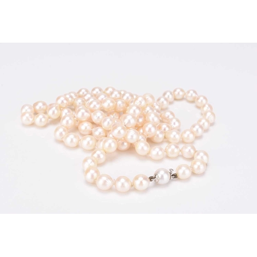 243 - A single strand uniform cultured pearl necklace, with cultured pearl barrel clasp, 88cm long, weight... 