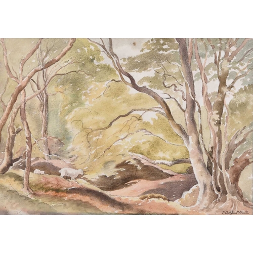 670 - ARR Ethelbert White (1891-1972) The Woodland Track, signed lower right, watercolour, 38 x 53 cm, fra... 