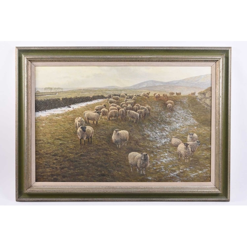 690 - John L Chapman (b.1946) Sheep on Hall Hill, with a dusting of snow over the ground, signed lower lef... 