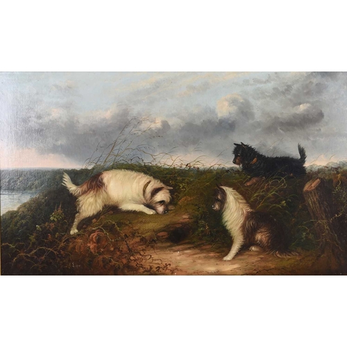 12 - J Langlois (c.1855-1904) A Large Oil of Terriers at a Rabbit Hole, in a landscape, signed lower left... 