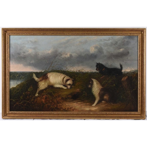 12 - J Langlois (c.1855-1904) A Large Oil of Terriers at a Rabbit Hole, in a landscape, signed lower left... 