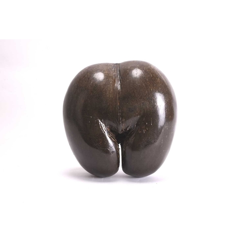 73 - A Coco de Mer (Lodoicea Maldivica) Polished, from the Seychelles, 1970s Approximately 25cm high and ... 