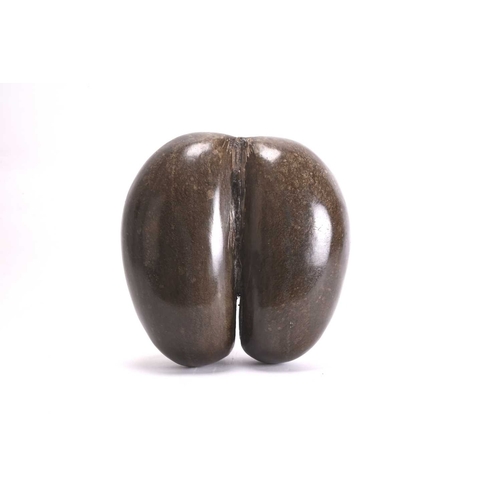 73 - A Coco de Mer (Lodoicea Maldivica) Polished, from the Seychelles, 1970s Approximately 25cm high and ... 