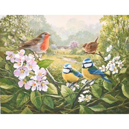 125 - Adrian Rigby (b.1962) Springtime, Blue Tits, a Robin and a Wren amongst the Blossom, with a Springti... 