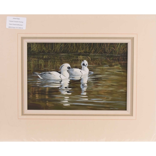 126 - Adrian Rigby (b.1962) Smew Ducks, reflections on the river, signed lower right, gouache, 23 x 33 cm ... 