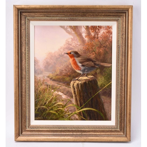 128 - Adrian Rigby (b.1962) Evening Robin, signed lower left, oil on canvas, 31 x 26 cm, frame 40 x 35 cm