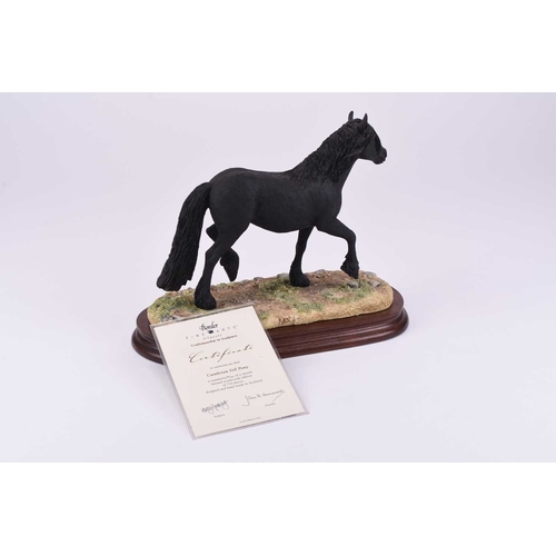 87 - A Border Fine Arts 'Cumbrian Fell Pony', model No. B0812 by Kirsty Armstrong, limited edition 494/75... 