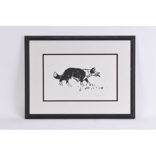 1 - ARR Sir Kyffin Williams OBE RA (Welsh 1918-2006) Prowling Sheepdog, signed in pencil lower right, li... 