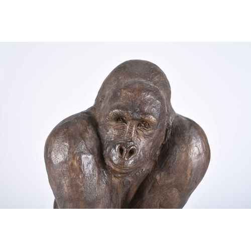 99 - Rachel Ricketts RBSA (Contemporary) Mountain Gorilla, Bronze Resin, 38 x 30 x 25 cm Private Collecti... 