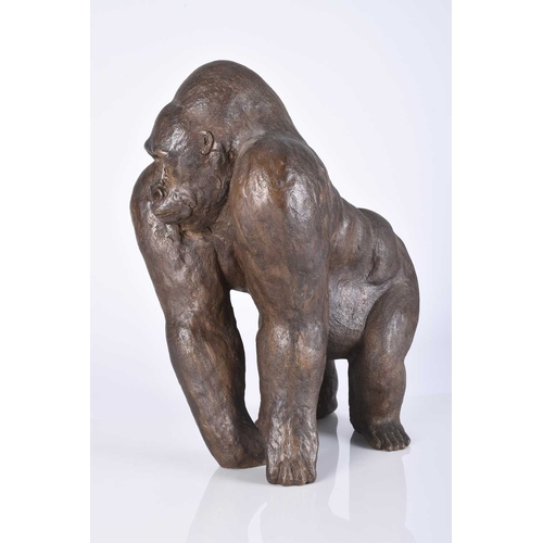 99 - Rachel Ricketts RBSA (Contemporary) Mountain Gorilla, Bronze Resin, 38 x 30 x 25 cm Private Collecti... 