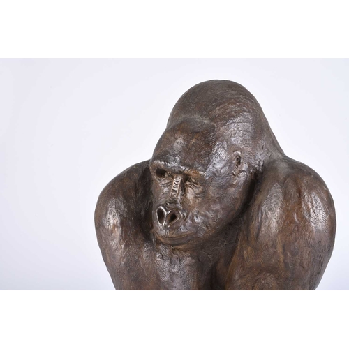 99 - Rachel Ricketts RBSA (Contemporary) Mountain Gorilla, Bronze Resin, 38 x 30 x 25 cm Private Collecti... 