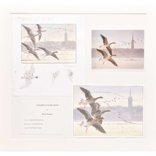 Lot 20        