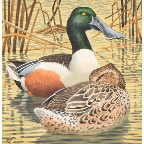 Lot 25        
