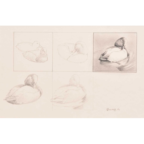 Lot 38        