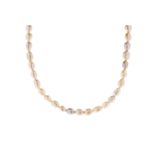 130 - 4.5 - 5.0mm freshwater cultured pearl necklace with gold plated clasp.
Pearl quality AAA. This neckl... 