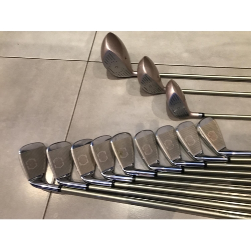 164 - A SET OF DONNAY EVOLUTION II GOLF CLUBS WITH GRAPHITE SHAFTS - 1,3 & 5 WOODS, 3 - 9 IRONS, PW, SW, D... 