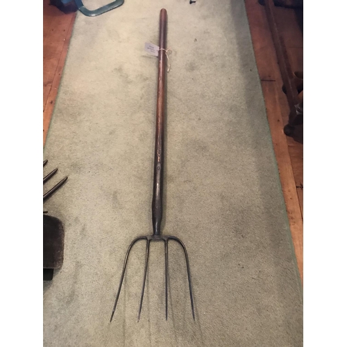 224 - A VINTAGE LONG HANDLED FOUR PRONG FORK