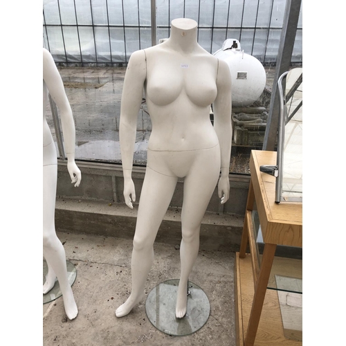 1093 - A FEMALE SHOP MANNEQUIN