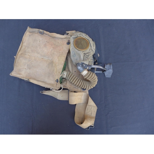 341 - A GAS MASK WITH WEBBING CARRY CASE