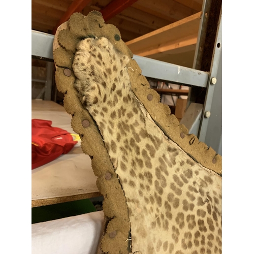 221 - A VICTORIAN TAXIDERMY LEOPARD SKIN ON A BOARD