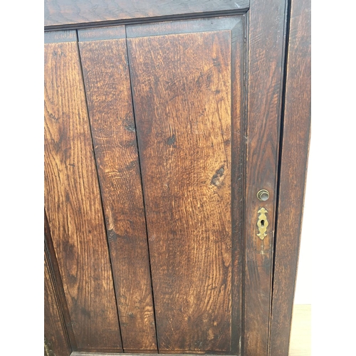 1506 - A GEORGIAN OAK LARDER CUPBOARD WITH ONE LOWER AND ONE UPPER DOOR