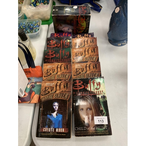 113 - TEN BUFFY THE VAMPIRE SLAYER NOVELS AND A BOX SET