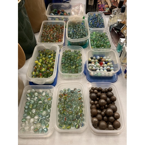 115 - A LARGE COLLECTION OF MARBLES ALL SORTED INTO COLOURS